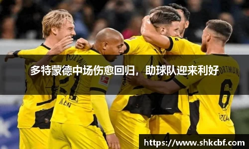 mk体育