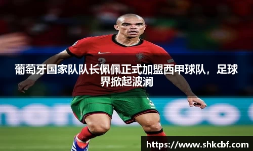 葡萄牙国家队队长佩佩正式加盟西甲球队，足球界掀起波澜