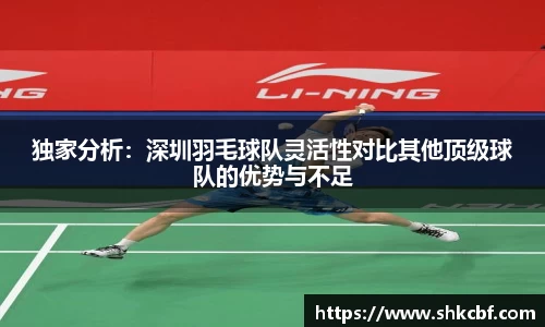 独家分析：深圳羽毛球队灵活性对比其他顶级球队的优势与不足