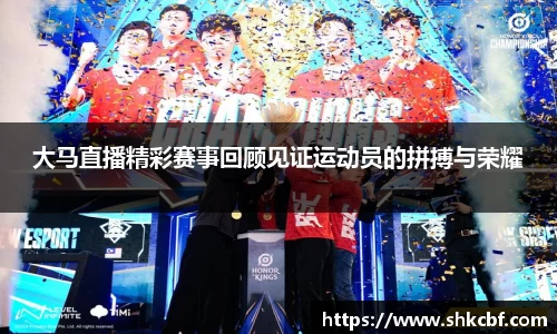 mk体育官网