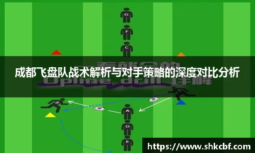 成都飞盘队战术解析与对手策略的深度对比分析
