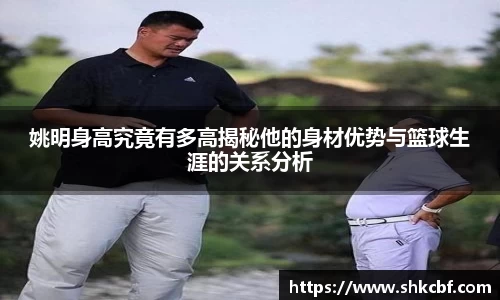 mk体育