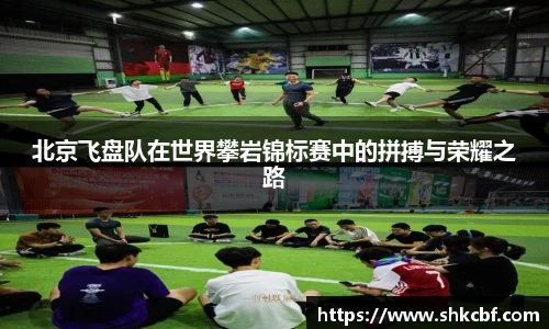 北京飞盘队在世界攀岩锦标赛中的拼搏与荣耀之路
