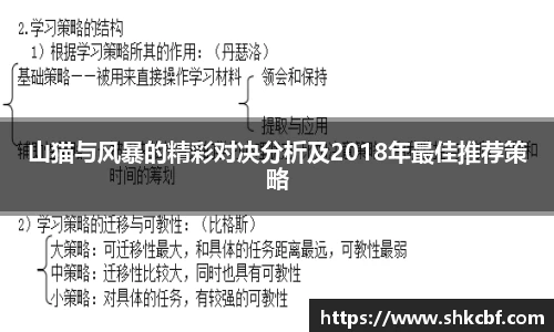 山猫与风暴的精彩对决分析及2018年最佳推荐策略