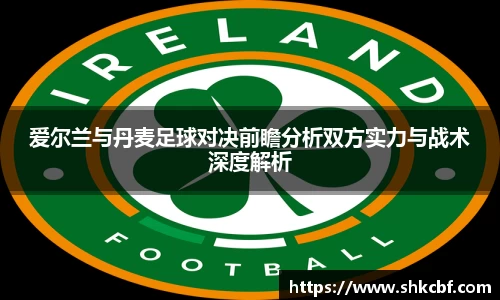 爱尔兰与丹麦足球对决前瞻分析双方实力与战术深度解析