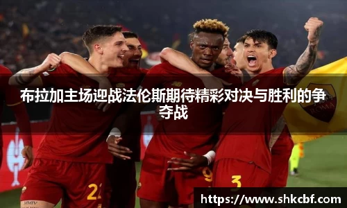 mk体育官网